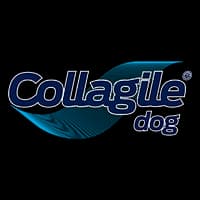 Logo of Collagile company