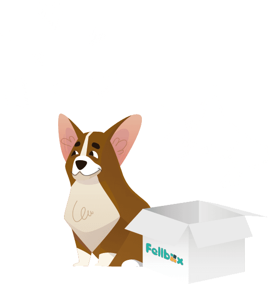 Dog image 2