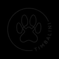 Logo of Timbalini company