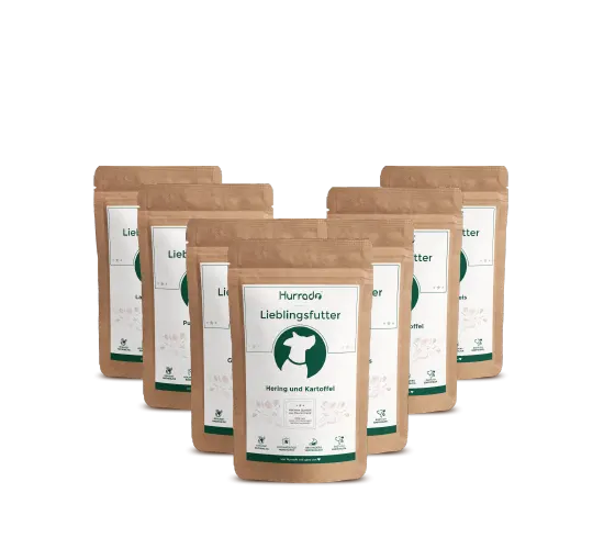 Post Hurrado – Personalisiertes Hundefutter image