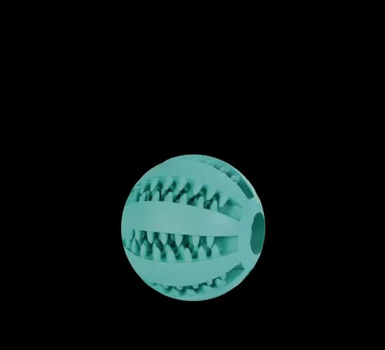 Post TRIXIE &#8211; Denta Fun Ball image