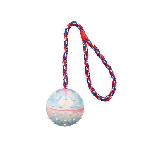 Post Robuster Ball am Seil image