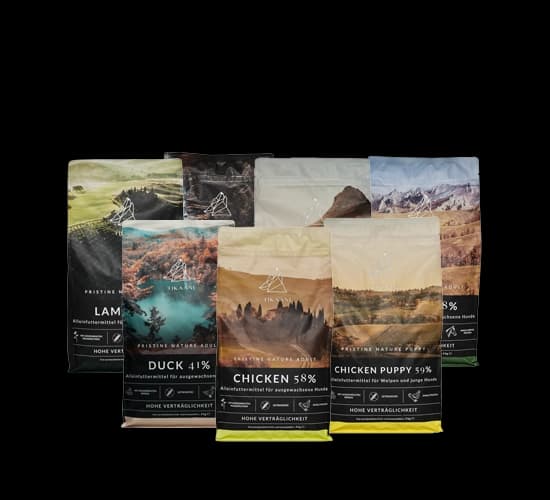 Assets-Produkte-Inhalt August-Tikaani