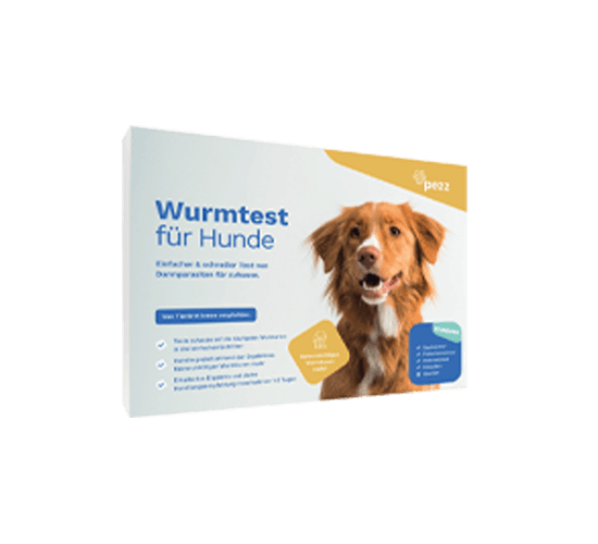 Post Wurmtest | pezz image
