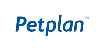 Post Du selbst bist versichert &#8211; und Dein Hund? | Petplan image