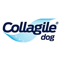 Logo of Collagile company