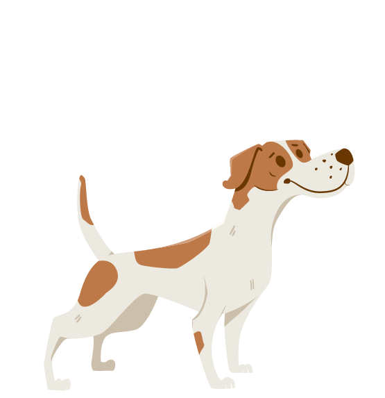 Dog image