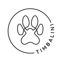 Logo of Timbalini company