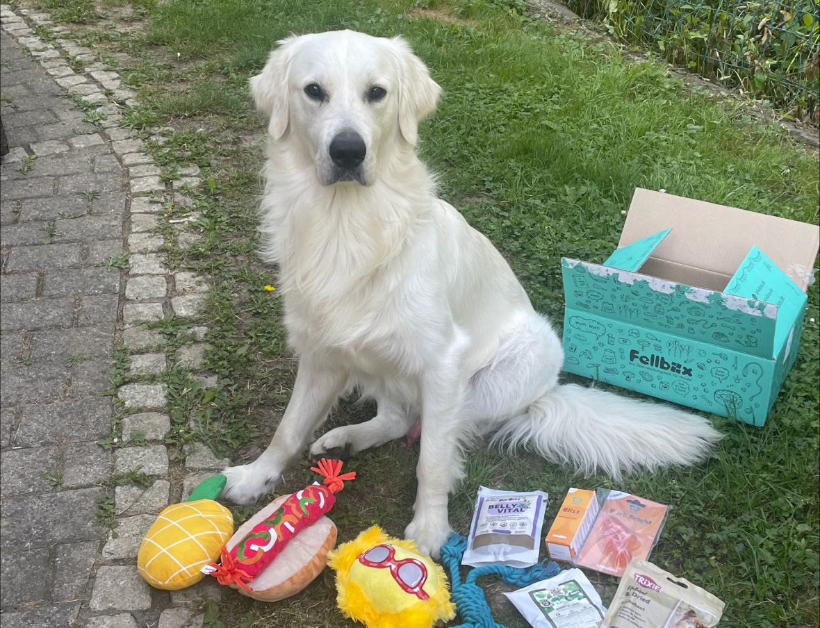 Ausgepackte Fellbox mit Snacks und Spielzeug