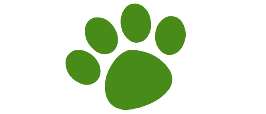 Boswelia logo
