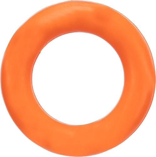 Ring-Hundespielzeug | 9 cm image
