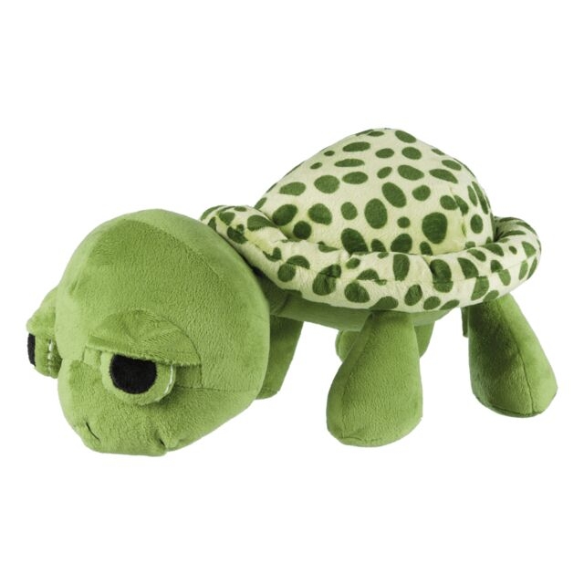 Schildkröte image