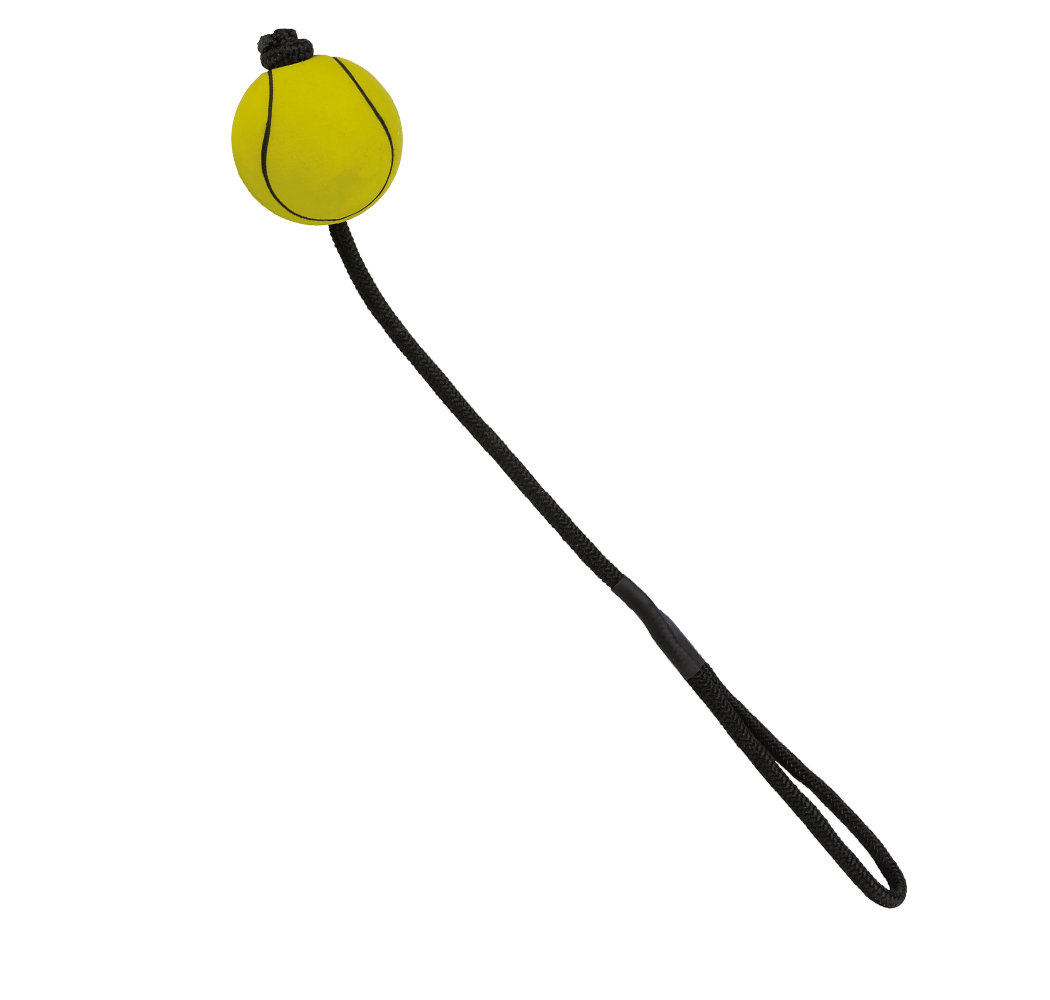 Sportball am Seil, schwimmfähig | 6/30 cm image