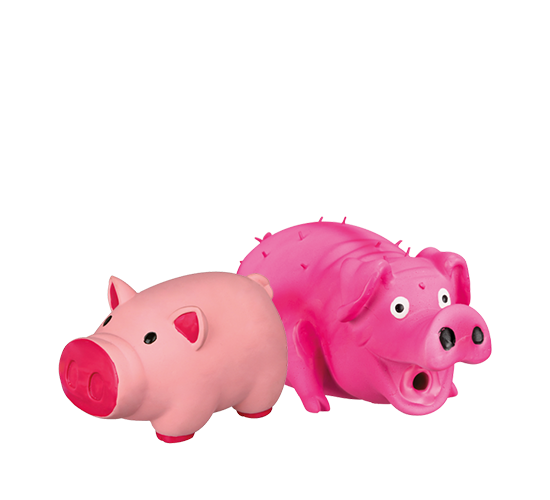 Assets-Produkte-Inhalt-Januar-2022-Schweine